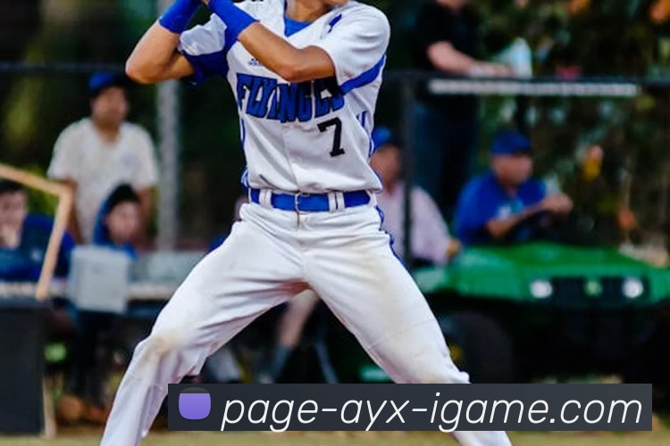 爱游戏发展历程